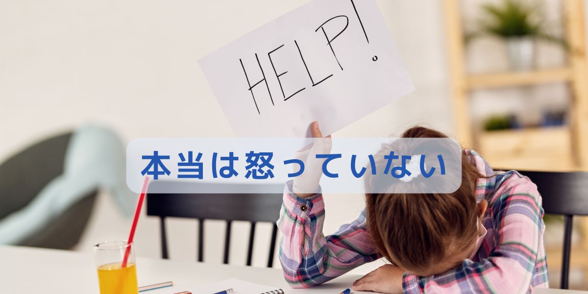 本当は怒っていない