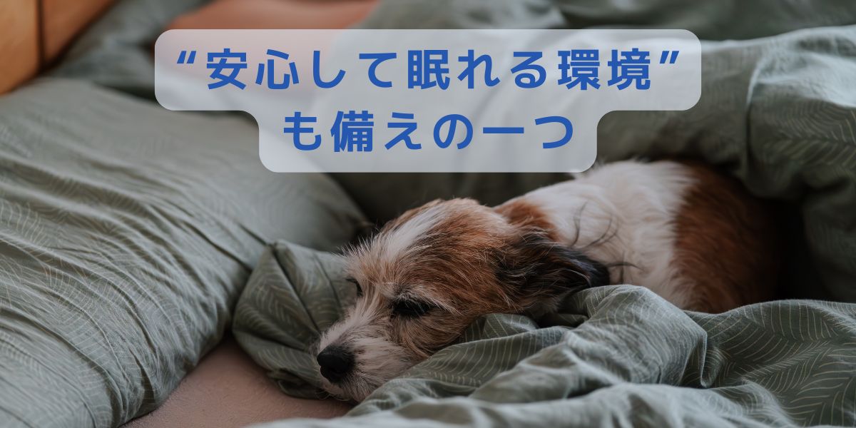 防災として大切なこと